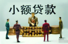 把握粤港澳大湾区发展趋势，广东小贷迎来新契机