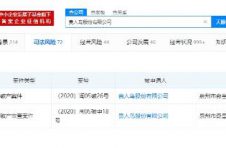 贵人鸟再增破产重整信息 年内执行标的上亿