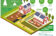猪肉价格为何跌跌不休：消费低迷、养殖亏损等