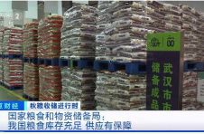 官方：我国粮食库存处于历史高位，可满足1年半的消费需求