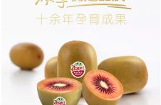 助推中新水果贸易友好合作 鑫荣懋携手佳沛共迎新西兰奇异果首船抵华