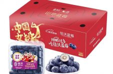 数字化赋能乡村振兴，佳沃蓝莓携手京东打造云南“新贵”